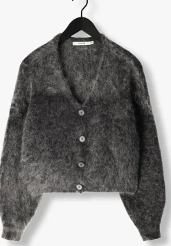 DAMES GESTUZ grijze vest gzdebbie cardigan