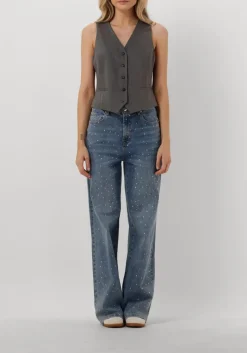 DAMES JANICE grijze gilet dave gilet