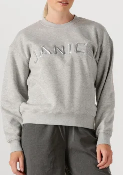DAMES JANICE grijze sweater andy