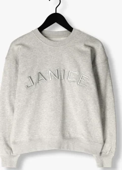 DAMES JANICE grijze sweater andy