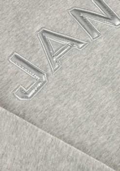 DAMES JANICE grijze sweater andy