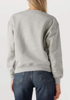 DAMES JANICE grijze sweater andy