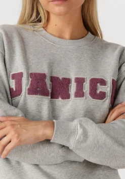 DAMES JANICE grijze sweater andy