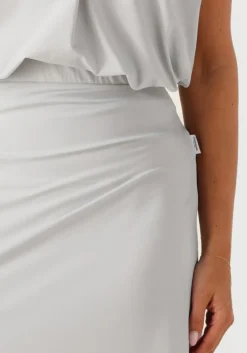 DAMES PENN & INK grijze midirok skirt