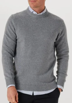 Heren PROFUOMO grijze trui pullover crew neck woolblend