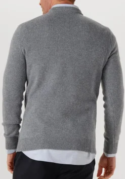 Heren PROFUOMO grijze trui pullover crew neck woolblend