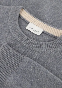 Heren PROFUOMO grijze trui pullover crew neck woolblend