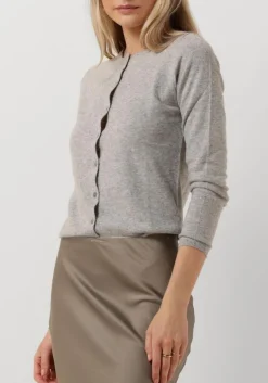 DAMES RESORT FINEST grijze vest lucca