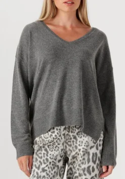 DAMES RIANI grijze trui 577060-8282