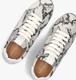 DAMES STEFANO LAURAN grijze lage sneakers 1slick100