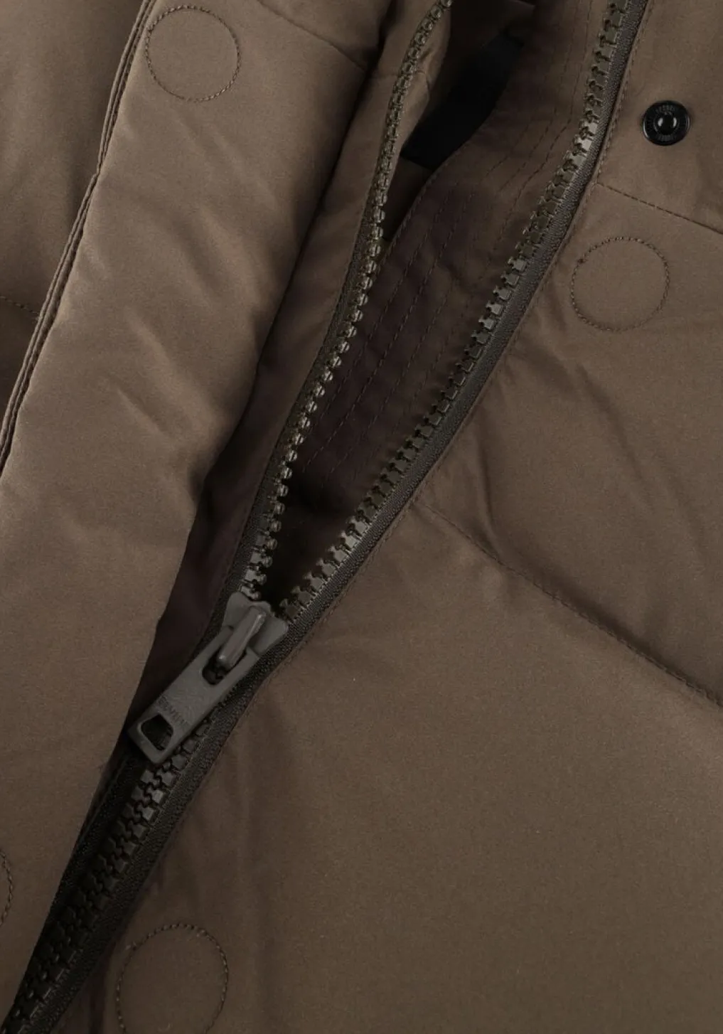 DAMES ELVINE e gewatteerde jas vesper