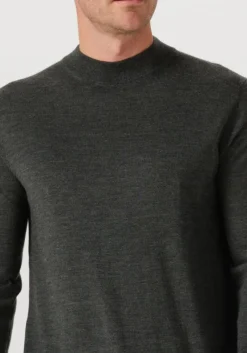 Heren STEFANO LAURAN e trui turtle