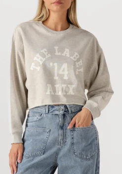 DAMES ALIX THE LABEL lichtgrijze trui ladies knitted soft sweater