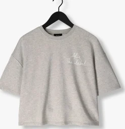 DAMES ALIX THE LABEL lichtgrijze t-shirt ladies knitted sweat t-shirt