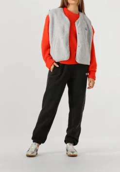 DAMES AMERICAN VINTAGE lichtgrijze gilet hoktown