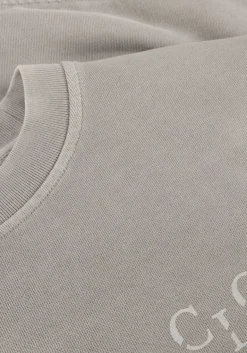 DAMES CLOSED lichtgrijze sweater printed sweat shirt