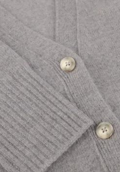 DAMES CLOSED lichtgrijze trui v neck cardigan