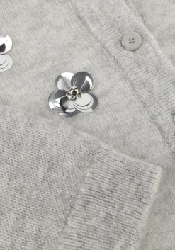 DAMES DANTE6 lichtgrijze vest fawn sequin cardigan