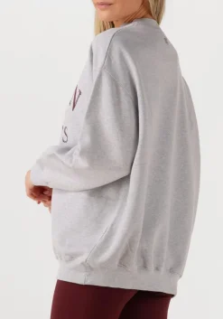 DAMES DEBLON SPORTS lichtgrijze sweater lilou sweater