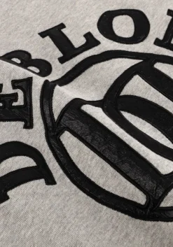 DAMES DEBLON SPORTS lichtgrijze sweater tess sweater