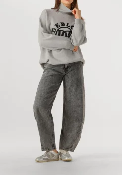 DAMES DEBLON SPORTS lichtgrijze sweater tess sweater