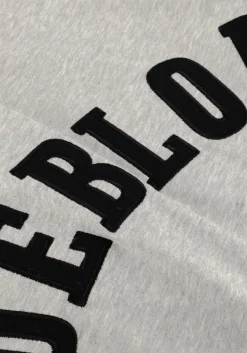 DAMES DEBLON SPORTS lichtgrijze t-shirt lou t-shirt