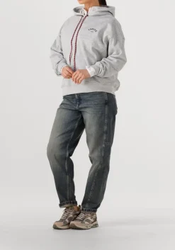 DAMES HAUTE L'AMITIÉ lichtgrijze haute l'amitié sweater mini curve hoodie sweat