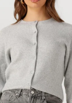 DAMES PENN & INK lichtgrijze vest cardigan w25b345