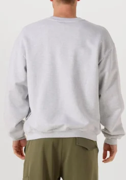 Heren THE SAVAGE REPORT lichtgrijze sweater the reporter