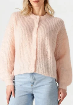 DAMES DES PETITS HAUTS trui alma