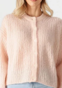 DAMES DES PETITS HAUTS trui alma