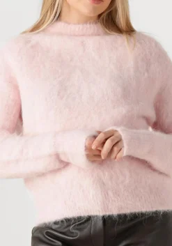 DAMES IBANA trui konia