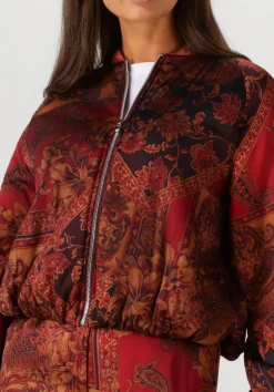 DAMES AMAYA AMSTERDAM jack faith