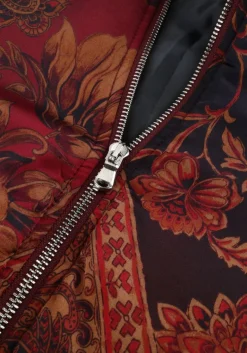 DAMES AMAYA AMSTERDAM jack faith