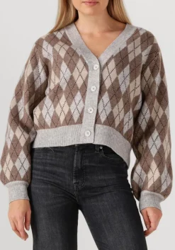 DAMES CO'COUTURE trui row check cardigan