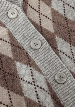 DAMES CO'COUTURE trui row check cardigan