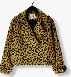 DAMES AMAYA AMSTERDAM jack lotus