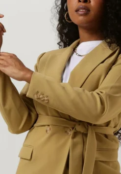 DAMES AAIKO blazer perize vis 333