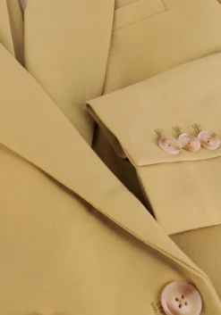 DAMES AAIKO blazer perize vis 333