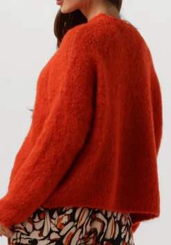 DAMES AMAYA AMSTERDAM trui bobbie knitwear