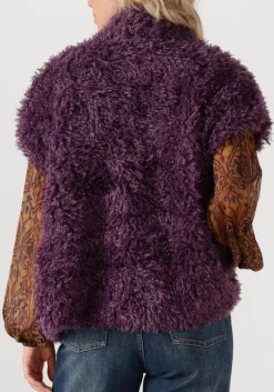 DAMES AMAYA AMSTERDAM e gilet bruna