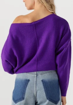 DAMES AMERICAN VINTAGE e trui damsville