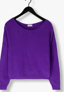 DAMES AMERICAN VINTAGE e trui damsville