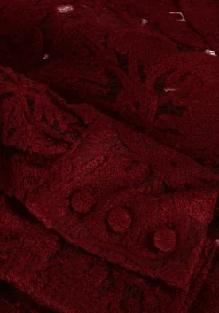 DAMES AAIKO rode blouses muze pes 566