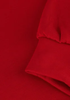 DAMES AAIKO rode trui kate co 366