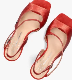 DAMES FLORIS VAN BOMMEL rode slingbacks sfw-90065
