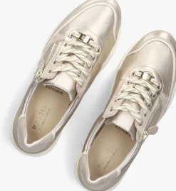 DAMES HASSIA roségouden lage sneakers bordeaux