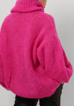 DAMES AMERICAN DREAMS coltrui pepper roll neck alpaca pullover