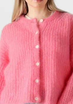 DAMES DES PETITS HAUTS trui alma