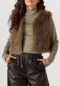 DAMES AIMEE THE LABEL gilet isla